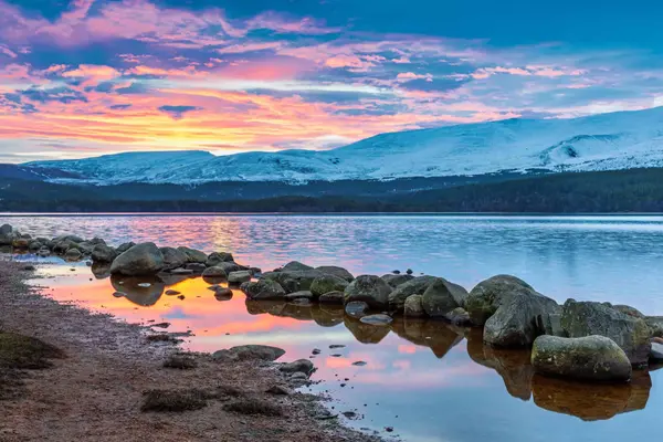 Vibrant pink sunrise reflecting in Loch Morlich with snow-capped Cairngorm mountains in the background.