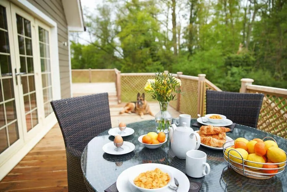 Breakfast set on Campion Lodge deck with a dog lying by the wooden fence and trees beyond