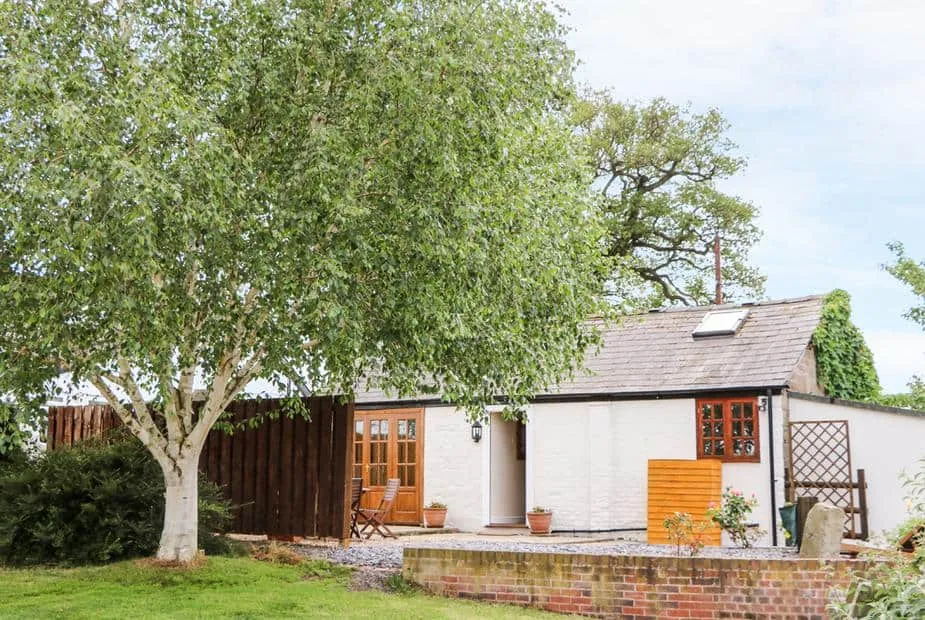 Cheshire Cheese Cottage with outdoor seating under a large leafy tree