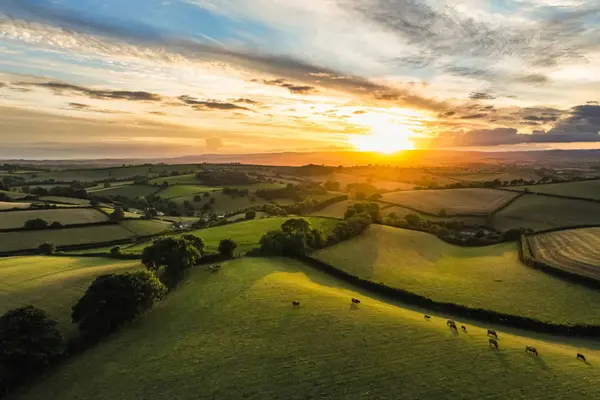 Aerial view of the rolling Devon countryside at sunset, featuring golden fields, hedgerows, and distant hills.