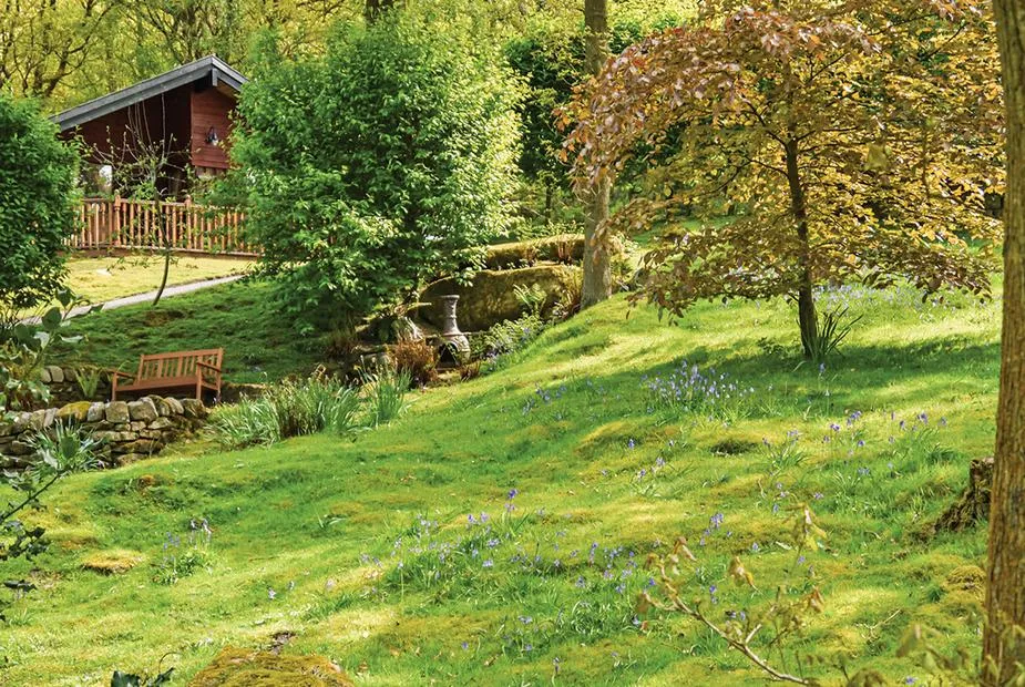 Lilleskov lodge set among oak trees and bluebells with a wooden bench beside a stream at Springwood