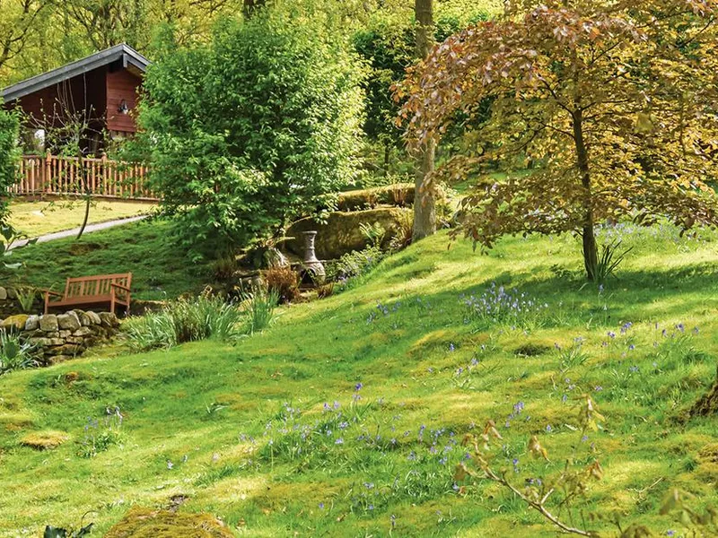Lilleskov lodge set among oak trees and bluebells with a wooden bench beside a stream at Springwood