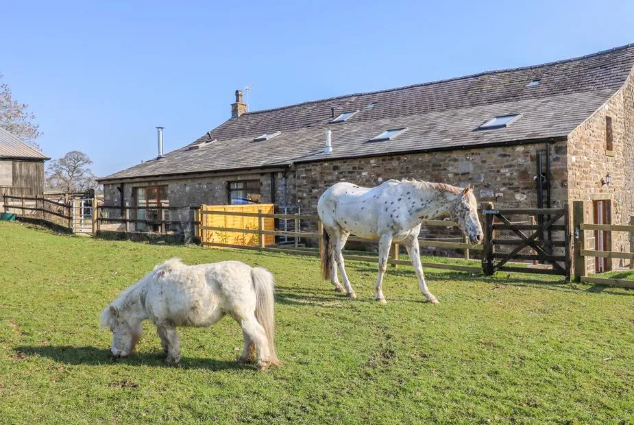 Stable View Cottage with two horses grazing in the fenced paddock