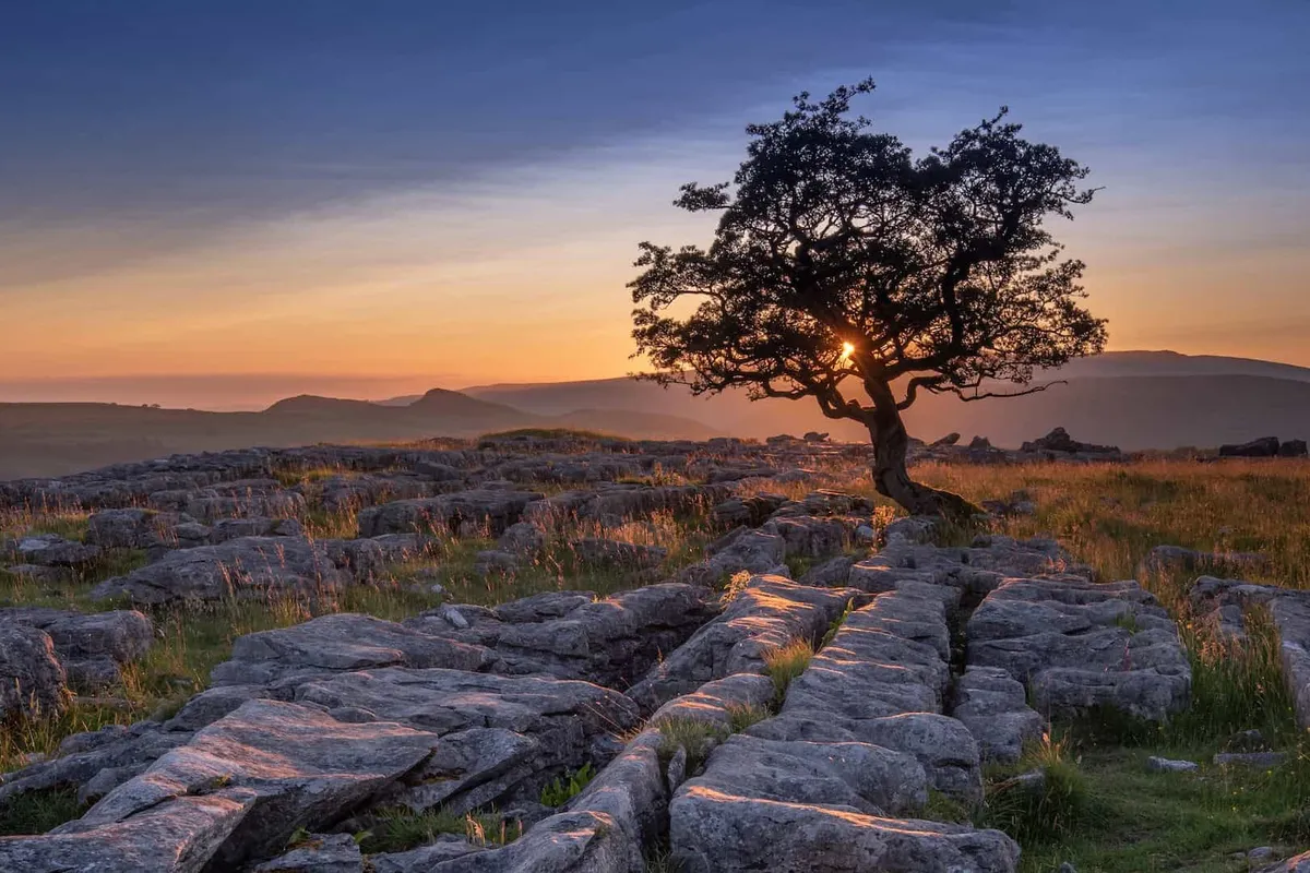 Golden sunset over the unique limestone pavement and lone hawthorn tree at Winskill Stones in the Yorkshire Dales.